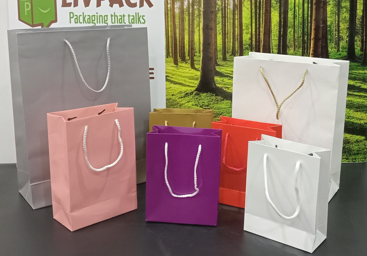 Pack 100 Sacs boutique coloré standard